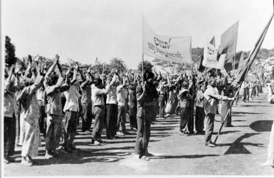 A crowd of people waving banners and flags
